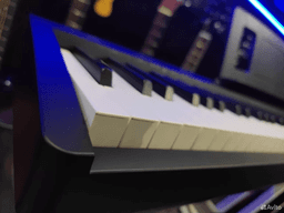 Цифровое Пианино Roland + Стойка (комплект) - изображение 3